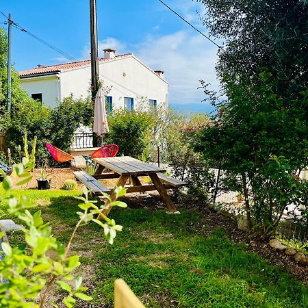 La Cave Marine Du Trottel Ajaccio (Corsica) Exterior foto